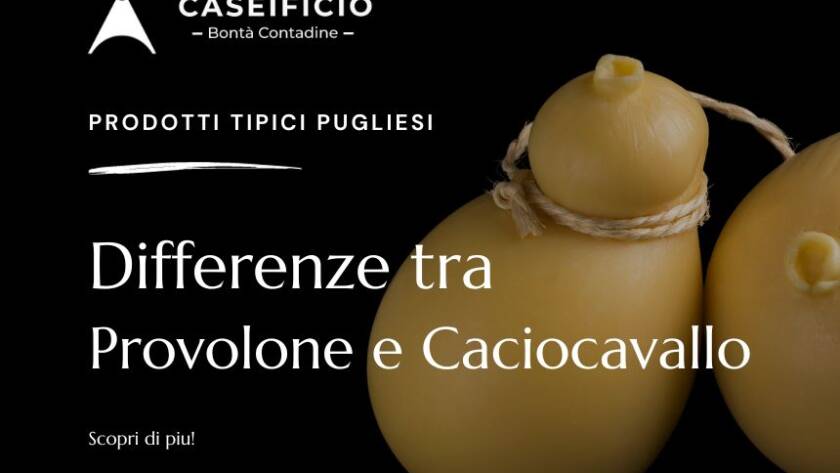 differenza tra Provolone e Caciocavallo - formaggi pugliesi