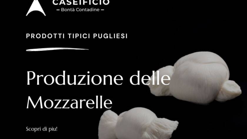 produzione mozzarelle - lavorazione mozzarelle
