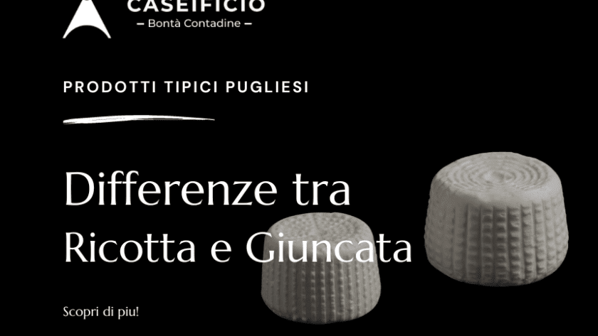 differenza tra ricotta e giuncata - giuncata pugliese - ricotta pugliese-caseificio bontà contadine