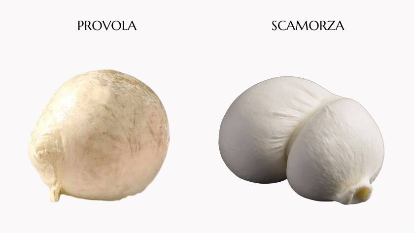 differenze tra provola e scamorza