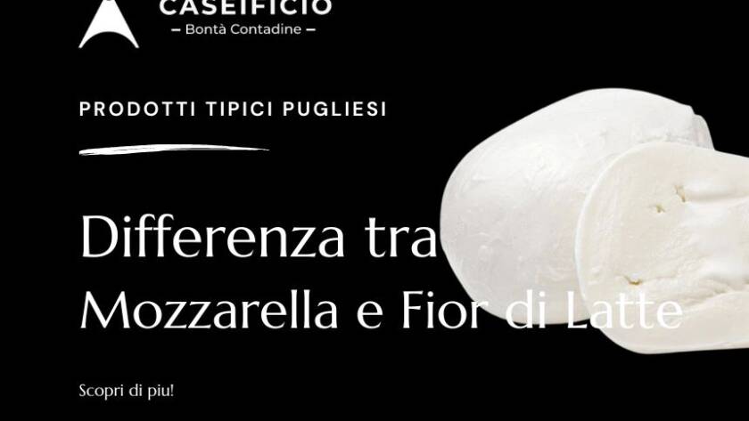 differenza tra Mozzarella e Fior di Latte