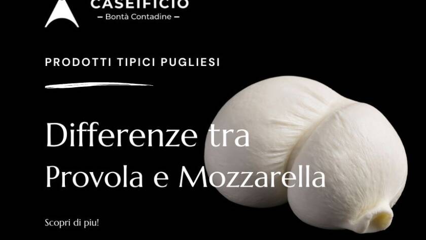 differenza tra provola e mozzarella