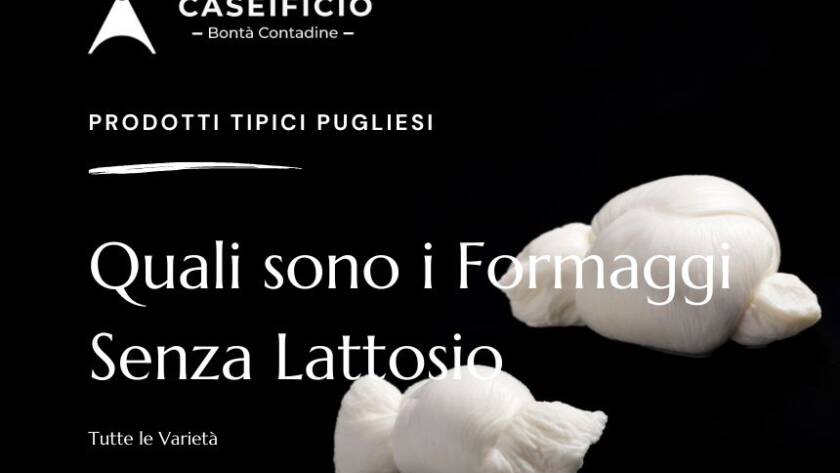 quali sono i formaggi senza lattosio