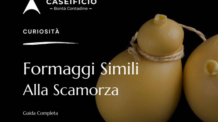 Formaggi Simili alla Scamorza