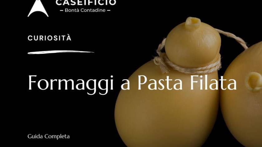 Formaggi a Pasta Filata
