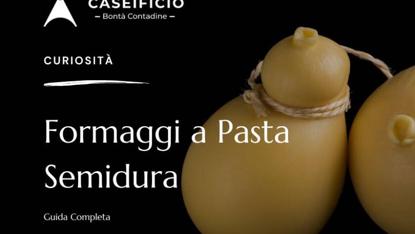 Formaggi a Pasta Semidura