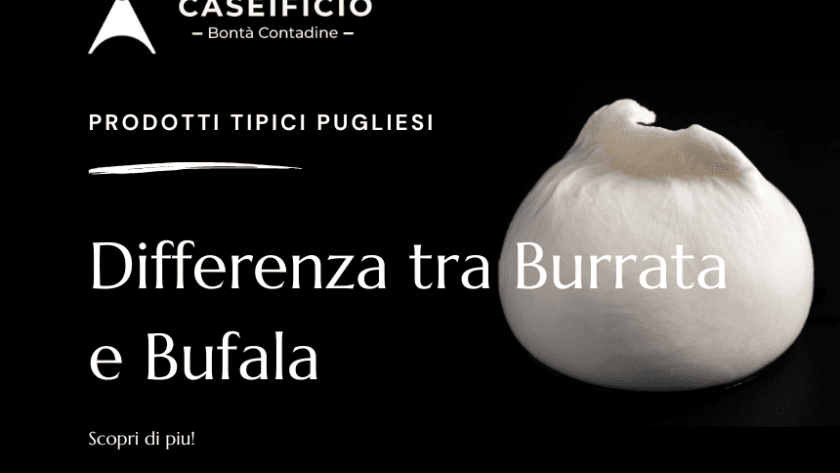 burrata e bufala differenze