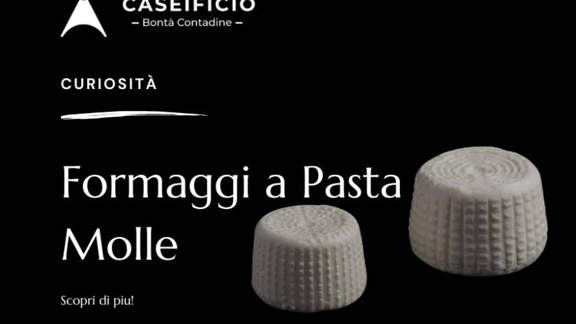 Formaggi a pasta molle
