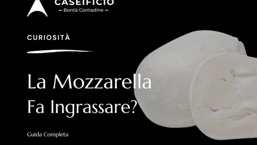 la mozzarella fa ingrassare