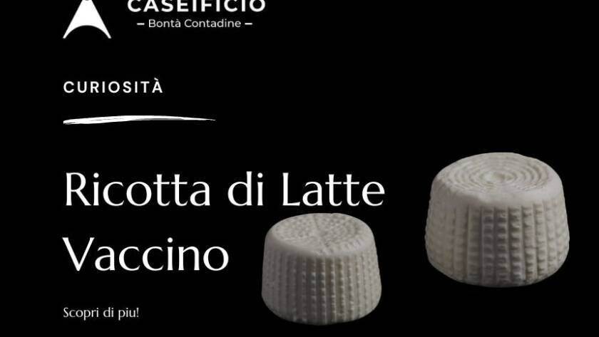 Ricotta di Latte Vaccino
