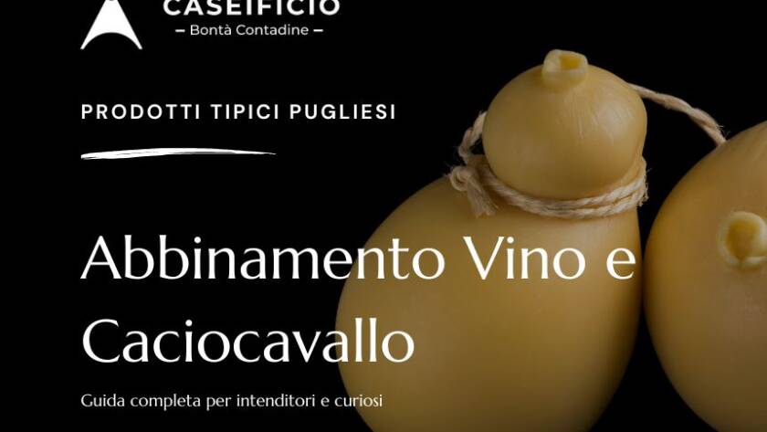 Abbinamento vino e caciocavallo