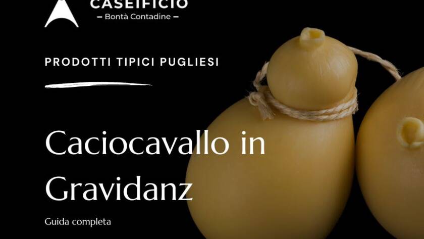 caciocavallo in gravidanza