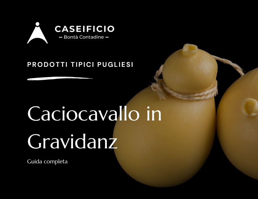caciocavallo in gravidanza
